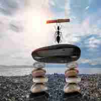 定‌制‌搜‍索‍算﻿法﻿脚​本‌